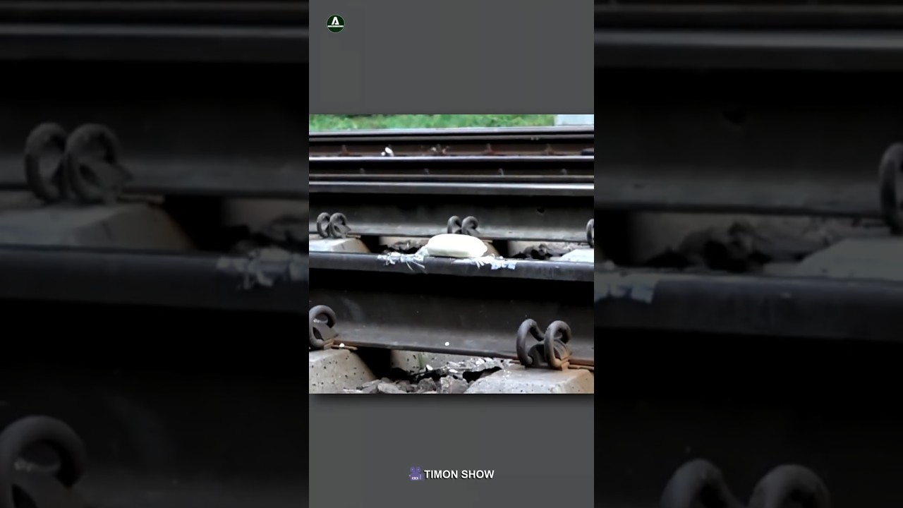 What Happens When a Train Hits Non-Newtonian Fluid? 😳