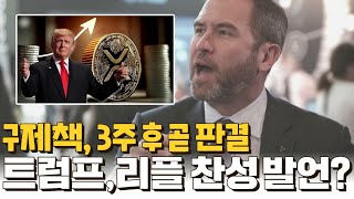 리플 비트코인 이더리움 - 구제책, 3주 후 판결! “트럼프, 리플 옹호 발언?”