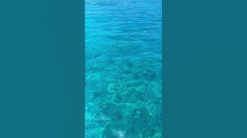 #القران #قرآن #تلاوة_خاشعة #اكسبلور #ترند #nature #راحة_نفسية #تصويري#تلاوة عطرة من الذكر الحكيم
