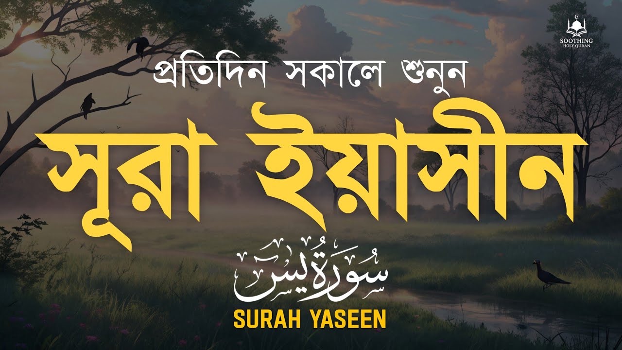 প্রতিদিন শুনুন সূরা ইয়াসীন (يس) | Surah Yaseen Full Beautiful Recitation | Peaceful Quran Tilawat