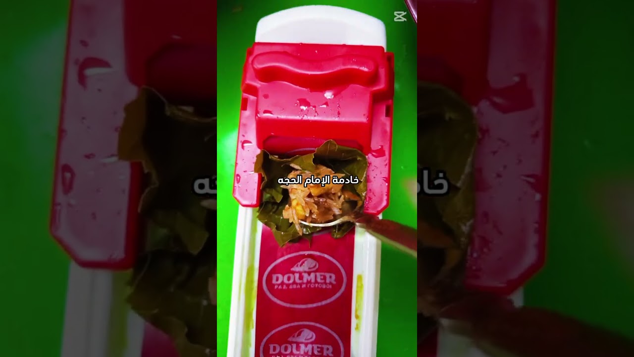 فطور. ٩يوم. رمضات دولمه عالميه. من ايدي شيف ام داني مشاهده ممتعه احبتي #اكسبلور 