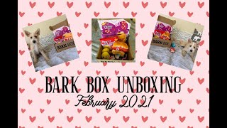 Bark Box February 2021 | Unboxing