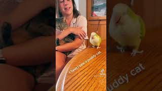 Bird Says I Thought I Saw A Puddy Cat