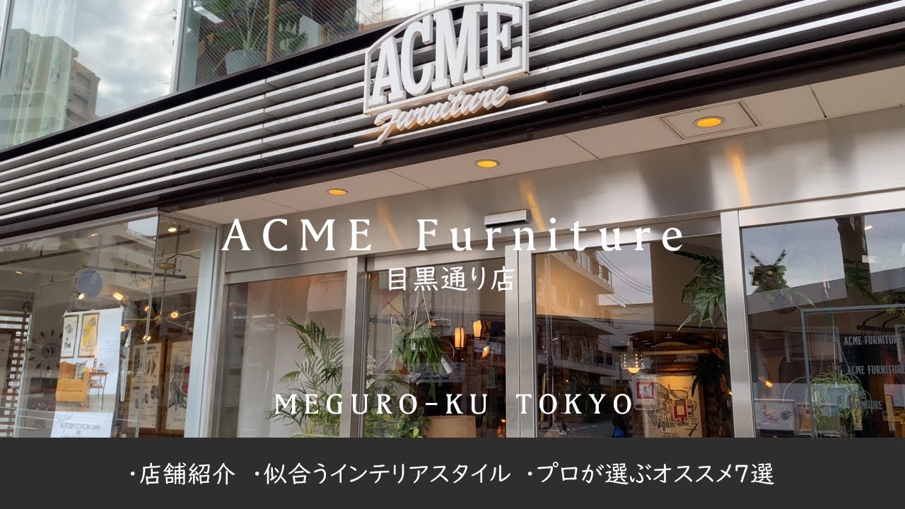 JOURNAL STANDARD FURNITURE / ACME Furniture 自由が丘店】2022／11