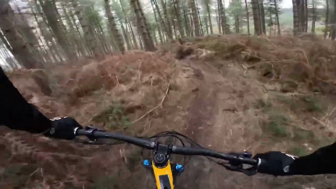Free Ride Line, Cannock Chase.