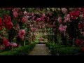 GIOVANNI MARRADI - Garden Of Dreams (amazing piano music)