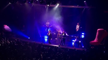 Tuxedo-Fux With The Tux