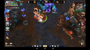 Heroes of order and chaos. Duble cat