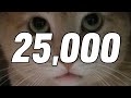 25,000
