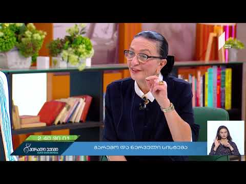 გარემო და ნერვული სისტემა