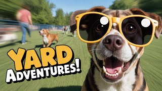 Poochinis Yard Barking Orders - Wcofun - Watch Cartoons And Anime Online In Hd For Free