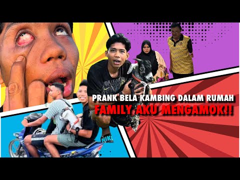 PRANK KAMBING DALAM RUMAH!! PECAH MATA AKU!!