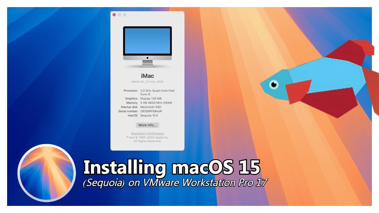 Installing macOS 15 Sequoia on VMware Workstation Pro 17 - YouTube
