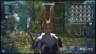 Female Viera locked hair style Final Fantasy XIV (FF14).