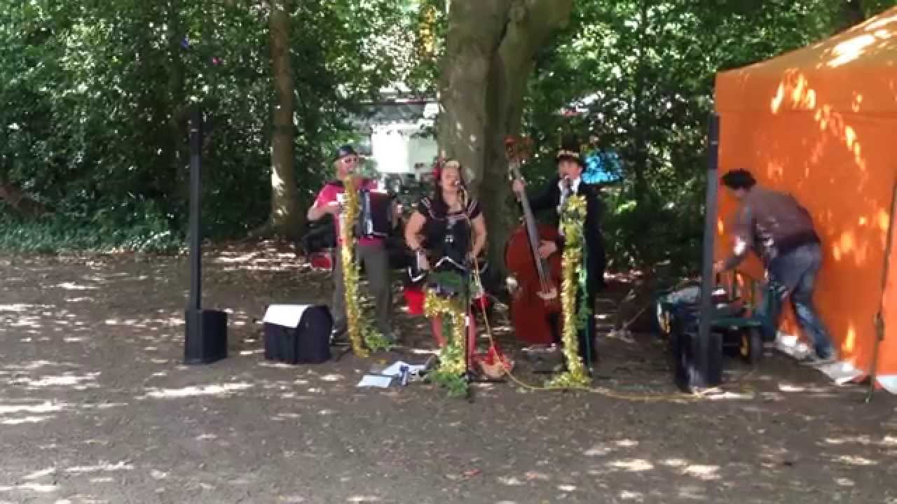 Moments of Tramlines Festival 2015