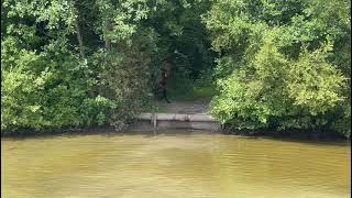 Ad ref 282604   Video 1