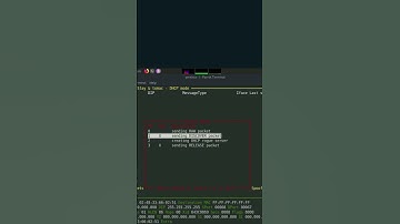 DHCP Starvation Attack Unleashed | Ethical Hacking with Yersinia