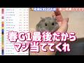 競馬予想【GⅠ宝塚記念🐎 2026.6.14】豪華メンバー宝塚！リベンジだ栄一