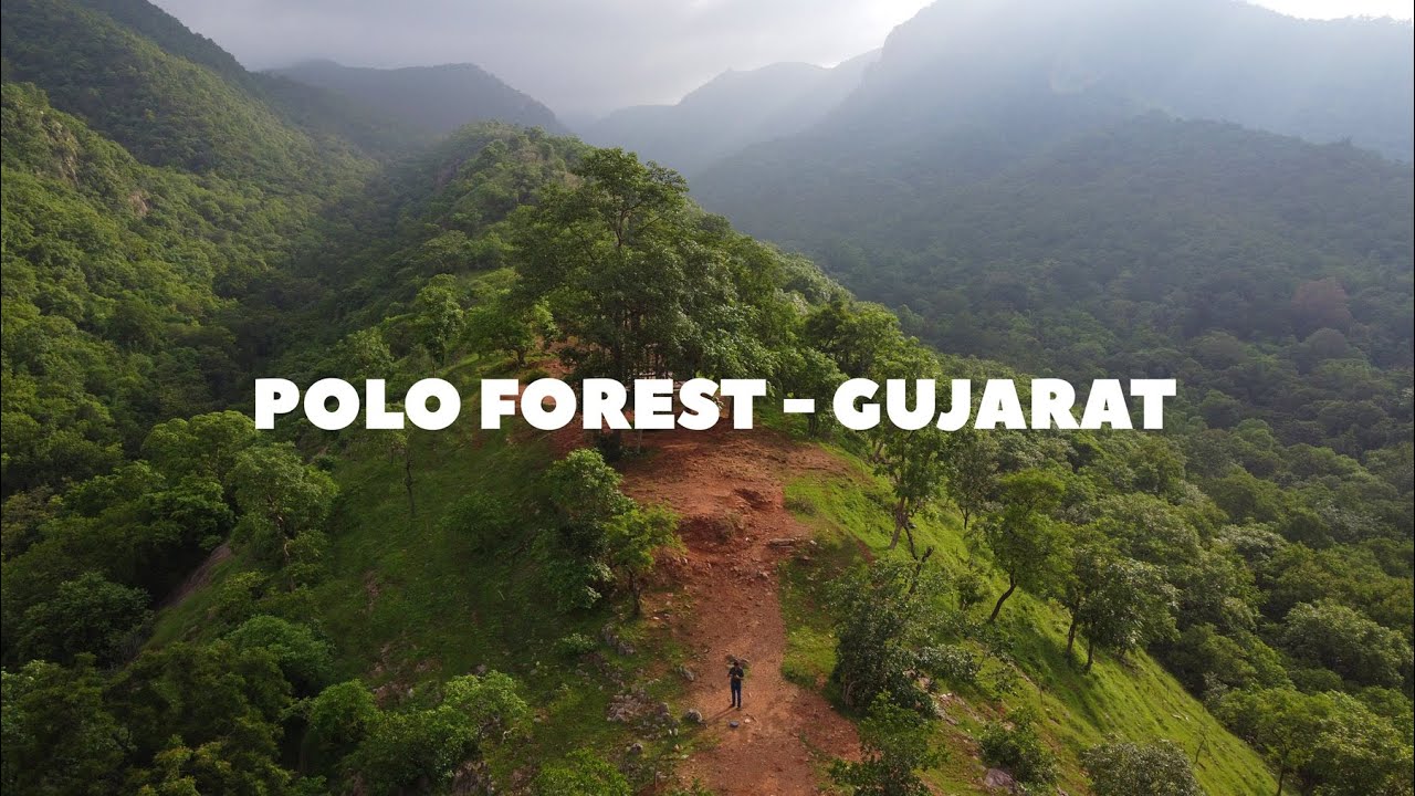 THE HIDDEN GEM POLO FOREST, GUJRAT - TRAVEL & TOURISM