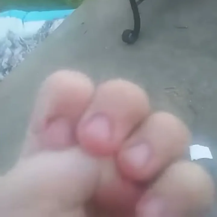 Finger #12 Roars (Daniel Musil Crossover)