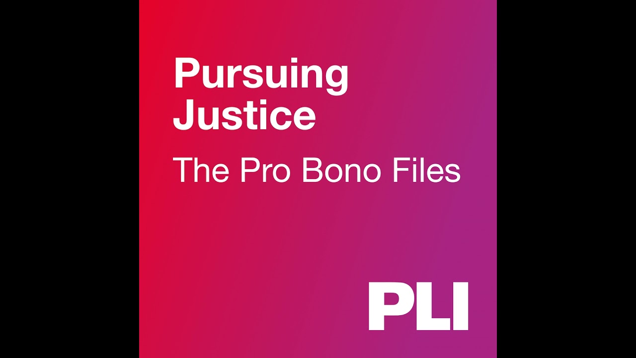A Pro Bono Clinic in Action