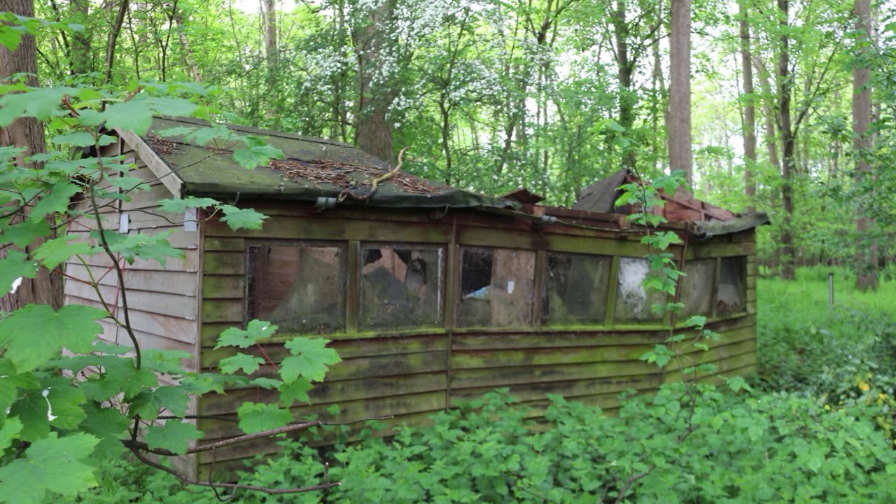 Lark Valley Path & St Edmund Way