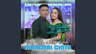 Bidadari Cinta