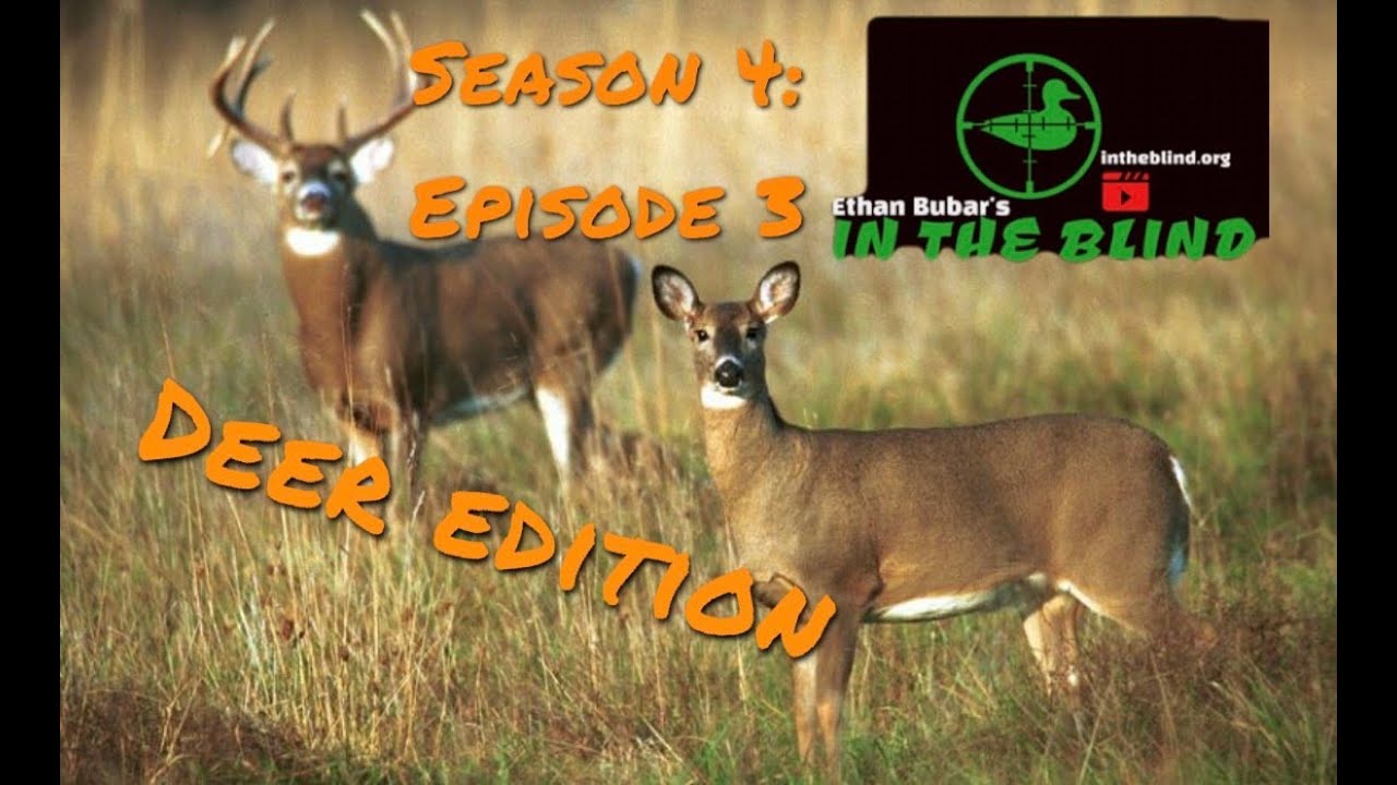 2022 Maine Deer Hunt | Stans Doe Kill