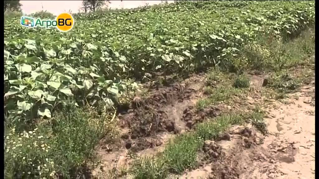 Преливащи язовири напълниха дерето на Суха река в Добричко