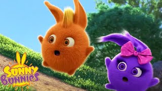 SUNNY BUNNIES COMPILATIONS  OUTDOOR ADVENTURES | SEASON 5 HITS | Cartoons for Kids