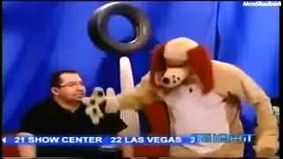 Perro Guarumo Son Mamadas, Son Mamadas