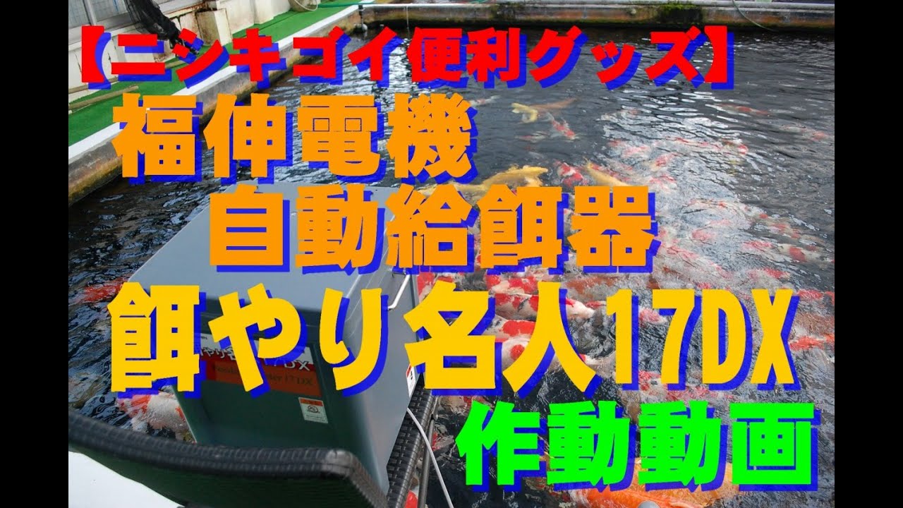 自動給餌器 餌やり名人17DX 通信販売 | 錦鯉や飼育用品 販売のことなら