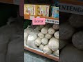 lagi semangat di toko