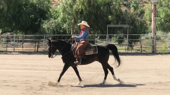 Marcy Roberts & Xxpresso Senior Horse Open Ranch R...