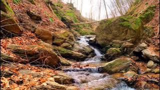 Surah Al Tahrim recited with soothing video repeated