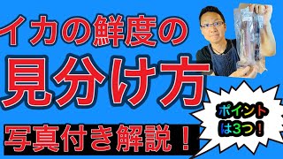 【主婦必見！】スーパーに売ってるイカの鮮度の見分け方！これを見れば新鮮なイカが購入できます！