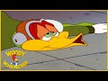 Woody Woodpecker | Crash Course | Woody Woodpecker Full Episode | Kids Cartoon | Videos for Kids