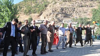 Kürtçe Şarkı Hareketli Müzik Yeni̇ - Potpori Govend Halay Delilo Bağlamacı Grani 2020 