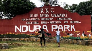 KITALE NATURE CONSERVANCY, NDURA PARK 🇰🇪// Fun things to do in Kitale, Western Kenya on a budget