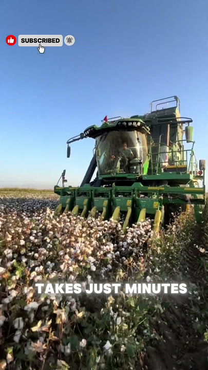 This giant machine is the superhero of cotton fields!