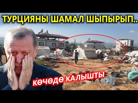 Video: Туман күлдү жактыбы?