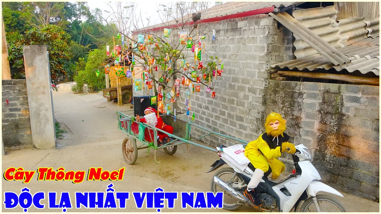 Trang Trí Cây Thông Noel Độc Lạ Nhất Việt Nam Đi Phát Quà Cho Các Em Nhỏ