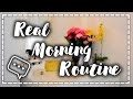 Real morning routine  el mundo de alma