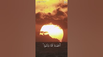يوم يبعثهم الله جميعا فينبئهم بما عملوا  #تلاوة #الشيخ #ماجد_الزامل #ستوريات #اكسبلور #حالات_واتس