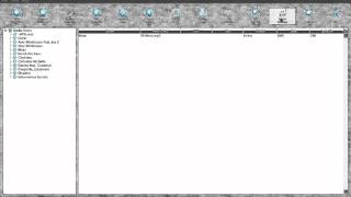 10  Alchimie Zinc Import Database Feature
