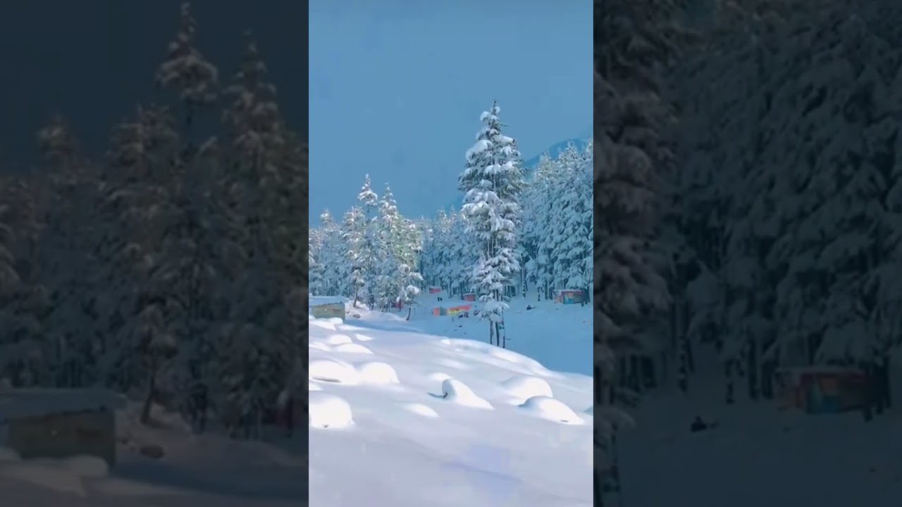 Ushu Forest Kalam Swat Kohistan