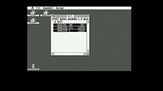 Celebrity Atari STe - Bad DMA-chip software workaround? Profile