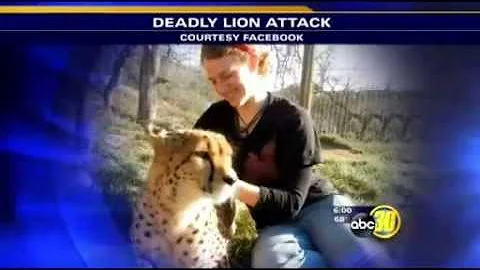 Dianna Hanson remembered at Dunlap's Cat Haven