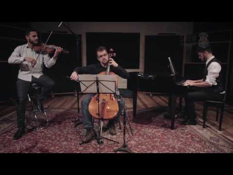 Show Particular - All You Need Is Love