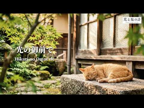 光の御前で (In the Presence of Light) | 朝の祈り | Japanese Worship Lofi Chill - Poems of Light and Salt